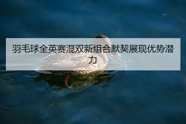 yu-mao-qiu-quan-ying-sai-hun-shuang-xin-zu-he-mo-qi-zhan-xian-you-shi-qian-li-2-250.jpg